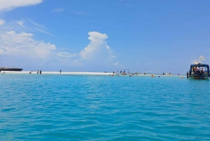 Mombasa: Wasini Dolphin Tour