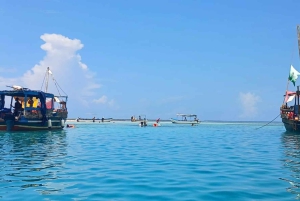 Mombasa: Wasini Dolphin Tour