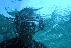 Mombasa: Wasini Dolphin Tour