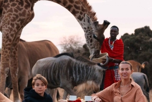 Moshi/Arusha: wycieczka 1-dniowa – dzika przyroda i wioska Masajów