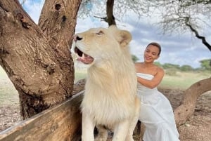 Moshi/Arusha: wycieczka 1-dniowa – dzika przyroda i wioska Masajów