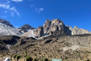 Mount Kenya: 4-Day Guided Hike to Point Lenana