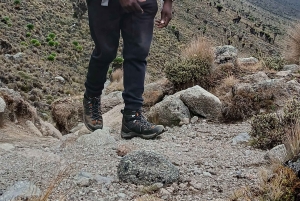 Mount Kenya: 4-Day Guided Hike to Point Lenana