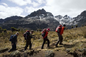 Mount Kenya: 5-Day Hike Via Chogoria Route