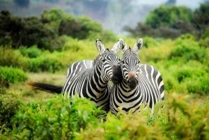 Dagstur til Mount Longonot fra Nairobi