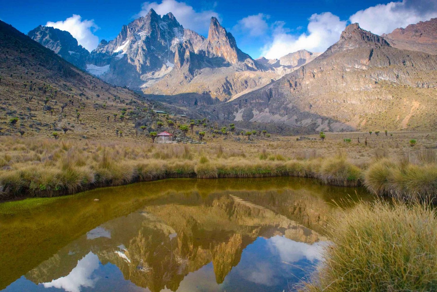 Mount Kenya: Heldags vandretur fra Nairobi