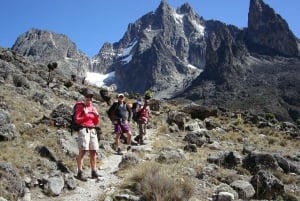Mount Kenya: Dagsutflykt med vandring från Nairobi