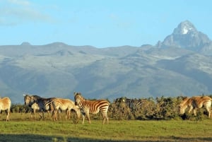 Mount Kenya: Dagsutflykt med vandring från Nairobi