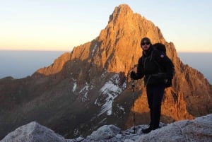 Mount Kenya: Dagsutflykt med vandring från Nairobi