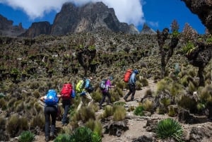 Mount Kenya: Dagsutflykt med vandring från Nairobi