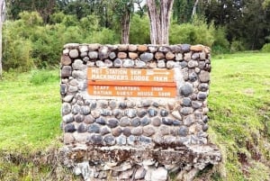 Excursión de un día al Monte Kenia