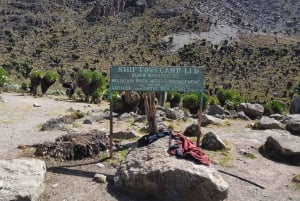 Mt Kenya Hiking: Hiking up mount Kenya.