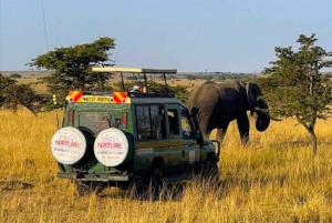 Mt. Kenya to Maasai Mara: An 8-Day Safari Adventure