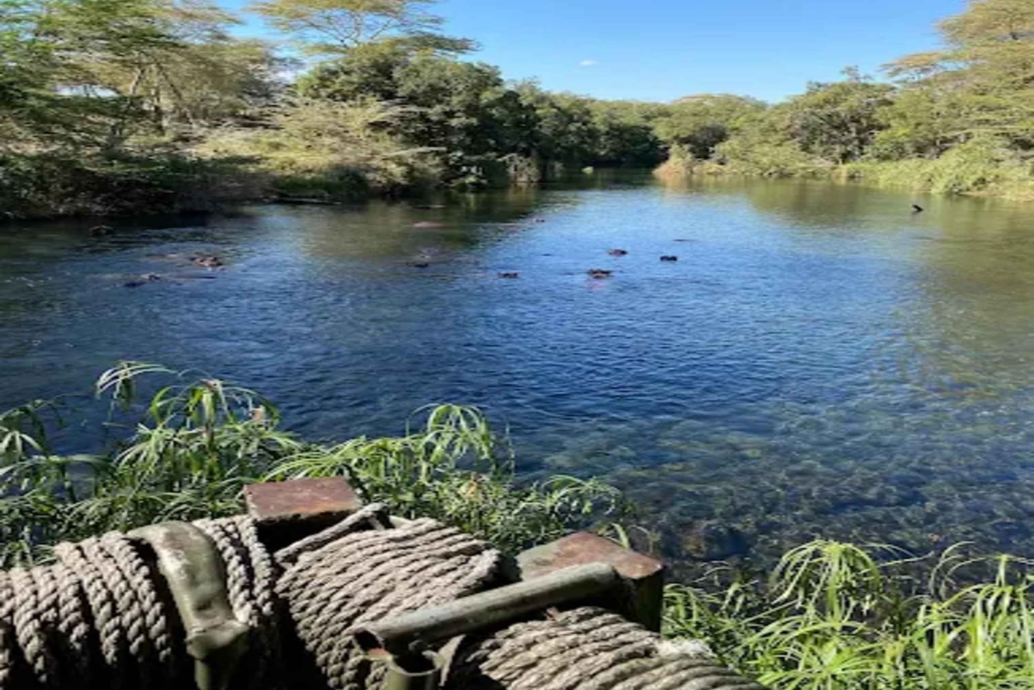 ナイロビ：アンボセリ2日間グループ参加サファリ