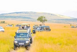 ナイロビ：アンボセリ2日間グループ参加サファリ