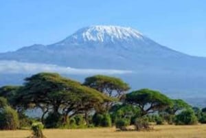 Nairobi: Safari de 2 dias no Parque Nacional Amboseli