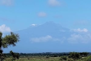 Найроби: двухдневное сафари в национальном парке Амбосели