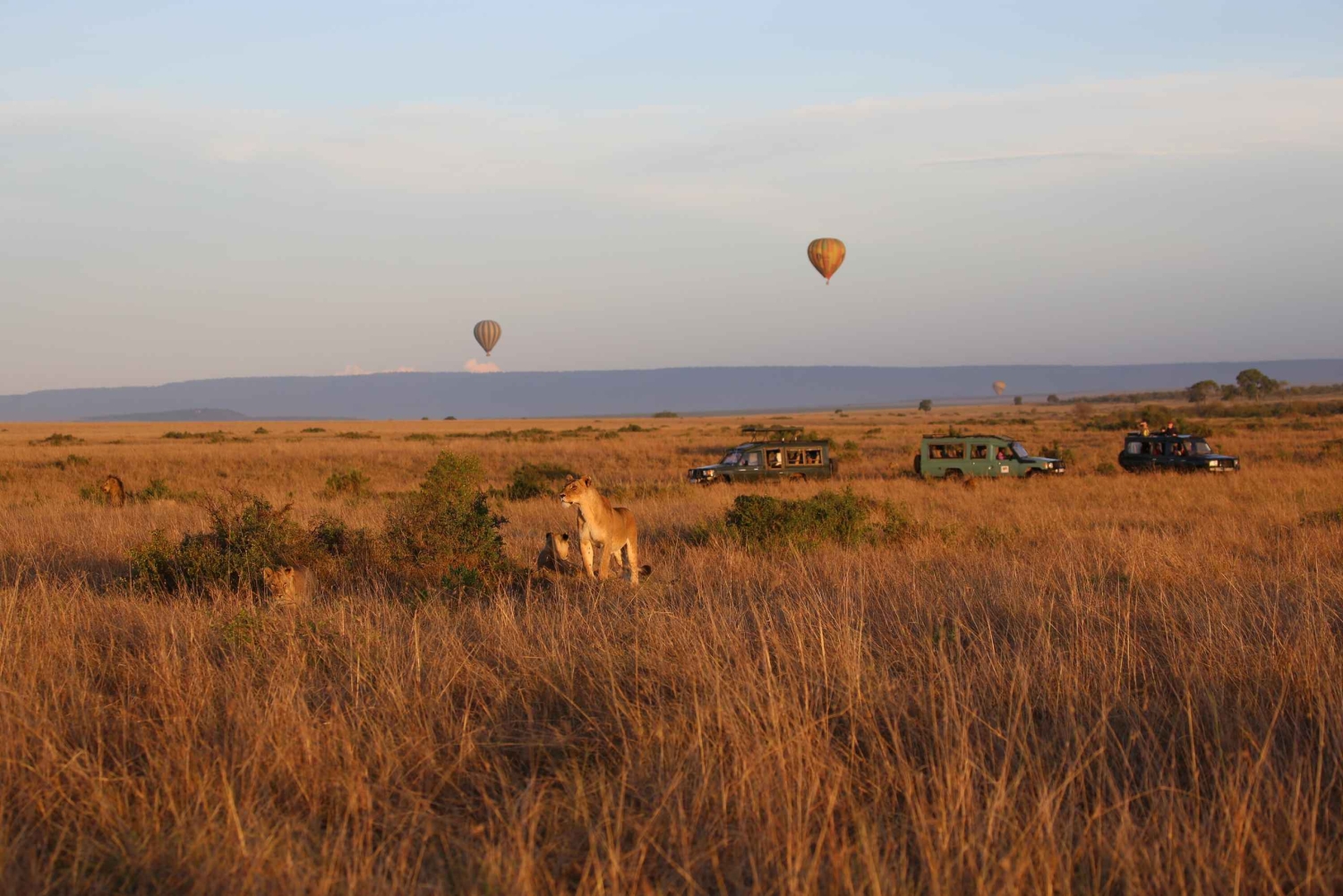 Nairobi: 2 dagar 1 natt Maasai Mara privat safari