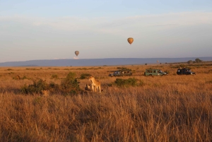 Nairobi: 2 dagar 1 natt Maasai Mara privat safari