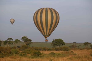 Nairobi: 2 dagar 1 natt Maasai Mara privat safari