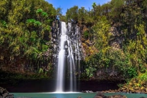 Nairobi : safari de 3 jours dans le parc national d'Aberdare