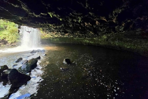 Nairobi : safari de 3 jours dans le parc national d'Aberdare