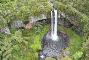 Nairobi : safari de 3 jours dans le parc national d'Aberdare