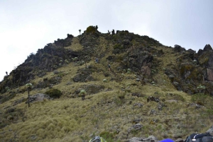 Nairobi : safari de 3 jours dans le parc national d'Aberdare