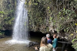 Nairobi : safari de 3 jours dans le parc national d'Aberdare