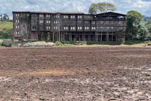 Nairobi : safari de 3 jours dans le parc national d'Aberdare