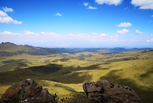 Nairobi : safari de 3 jours dans le parc national d'Aberdare