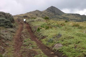 Nairobi : safari de 3 jours dans le parc national d'Aberdare