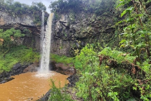 Nairobi : safari de 3 jours dans le parc national d'Aberdare