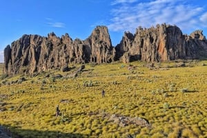 Nairobi : safari de 3 jours dans le parc national d'Aberdare