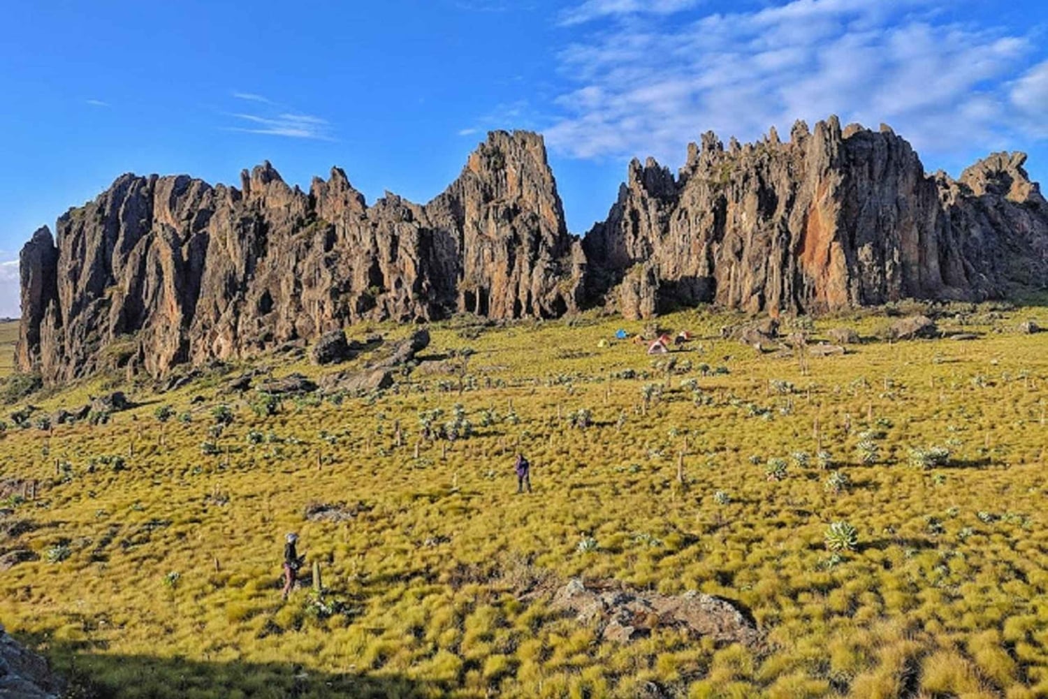 Nairobi: Safári de 3 dias no Parque Nacional Aberdare