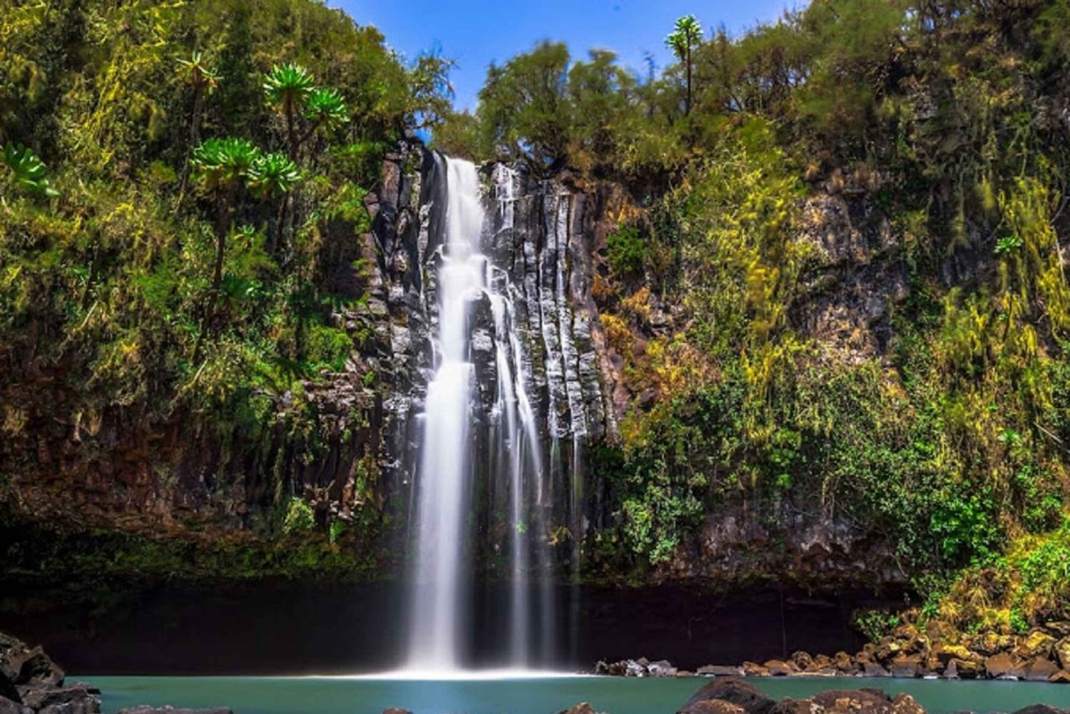 Nairobi: Safári de 3 dias no Parque Nacional Aberdare