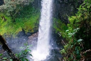 Nairobi: Safári de 3 dias no Parque Nacional Aberdare