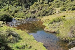 Nairobi: Safári de 3 dias no Parque Nacional Aberdare