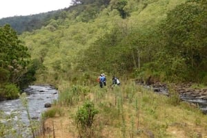 Nairobi: Safári de 3 dias no Parque Nacional Aberdare