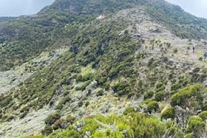Nairobi: Safári de 3 dias no Parque Nacional Aberdare