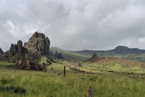 Nairobi: Safári de 3 dias no Parque Nacional Aberdare