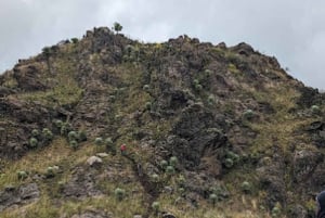 Nairobi: Safári de 3 dias no Parque Nacional Aberdare