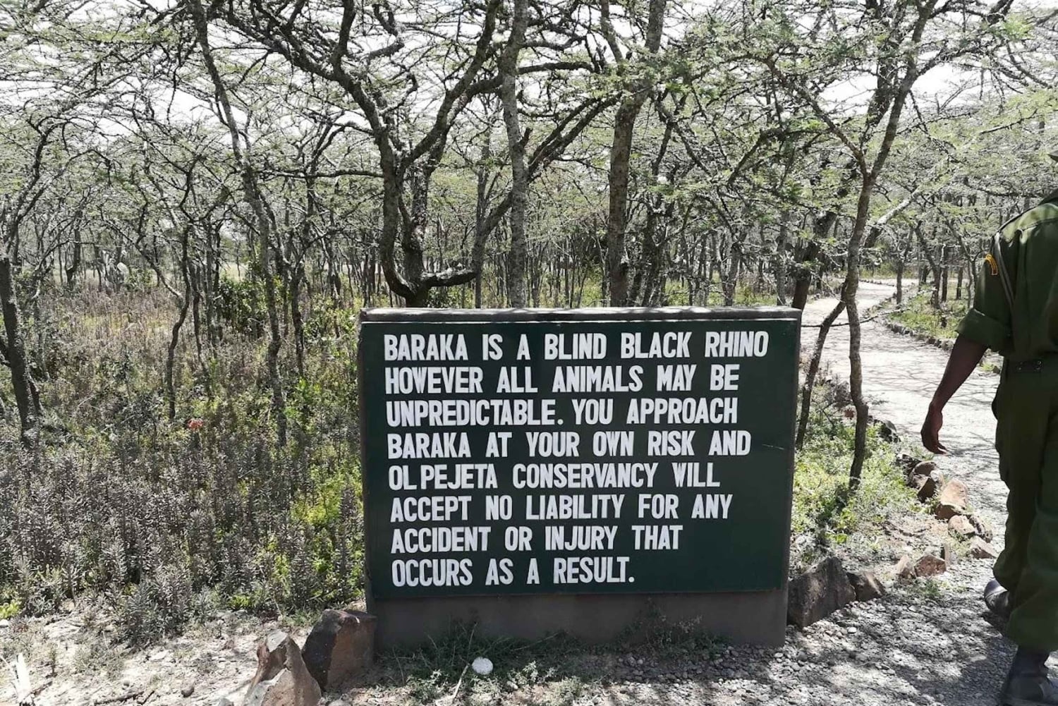 Nairobi : circuit safari de 3 jours dans les Aberdares et à Ol Pejeta