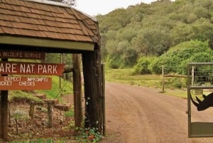 Nairobi : circuit safari de 3 jours dans les Aberdares et à Ol Pejeta