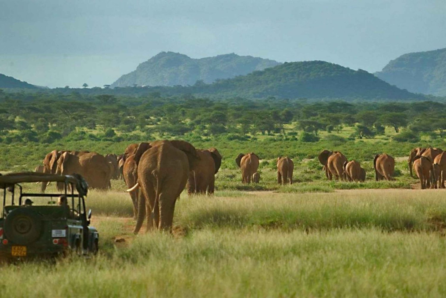 Nairobi: 3-Day All-Inclusive Samburu National Park Safari