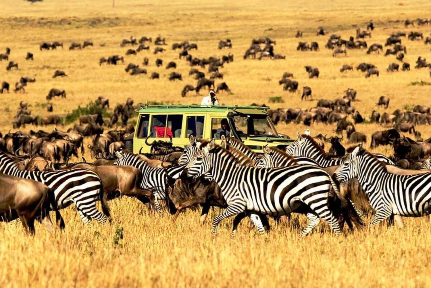 Nairobi: 3-Day Amboseli National Park Camping Safari