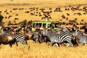 Nairóbi: Safari de acampamento de 3 dias no Parque Nacional Amboseli
