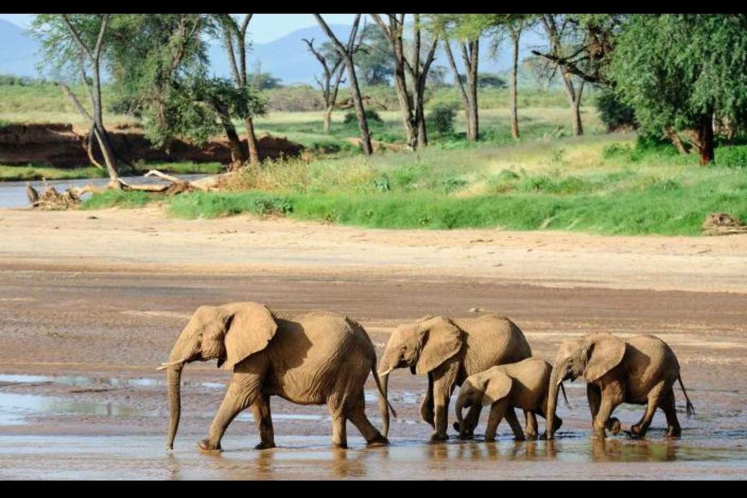 Nairobi: safari di 3 giorni al Parco Nazionale di Amboseli con voli