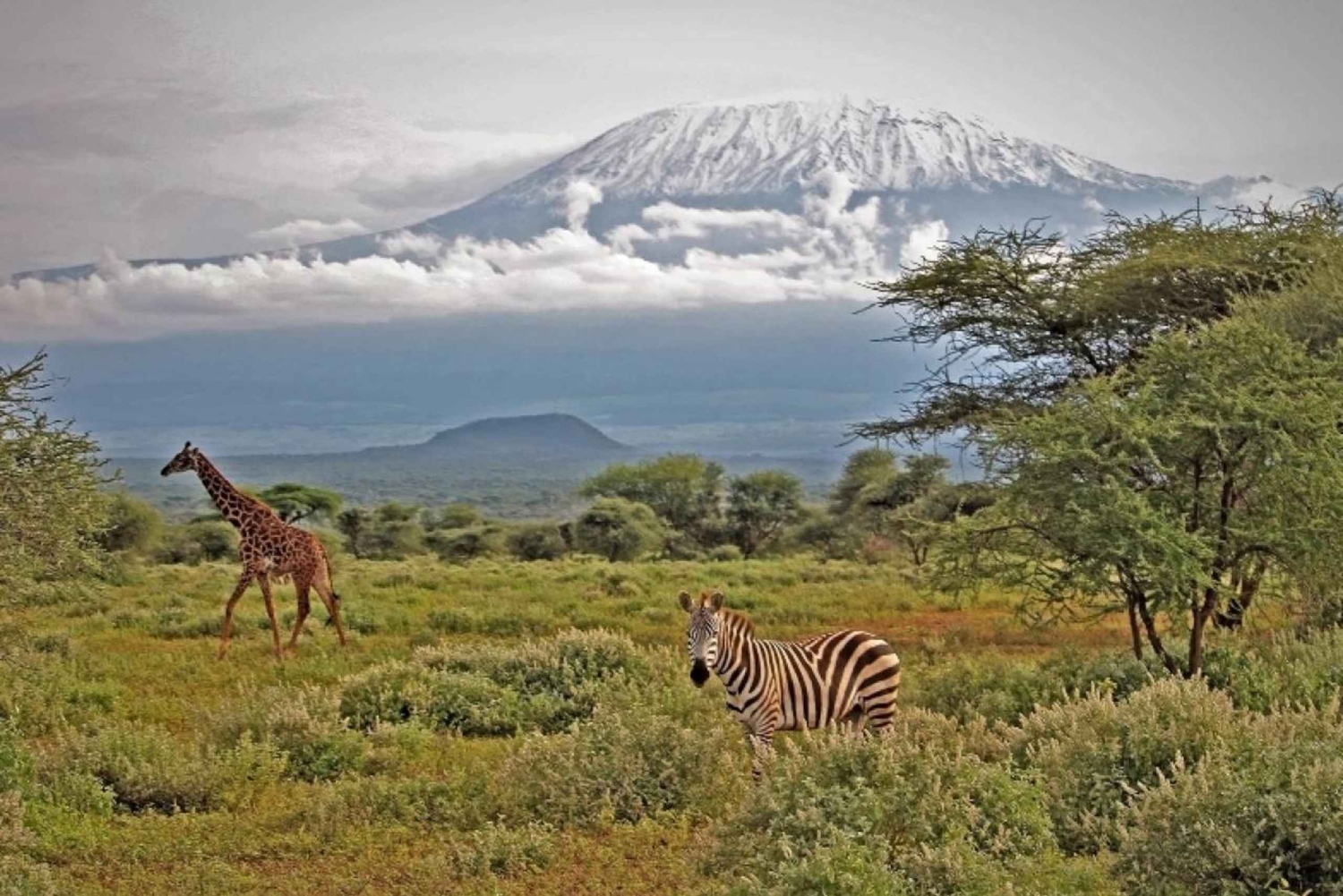 Nairobi: safari di 3 giorni al Parco Nazionale di Amboseli con voli