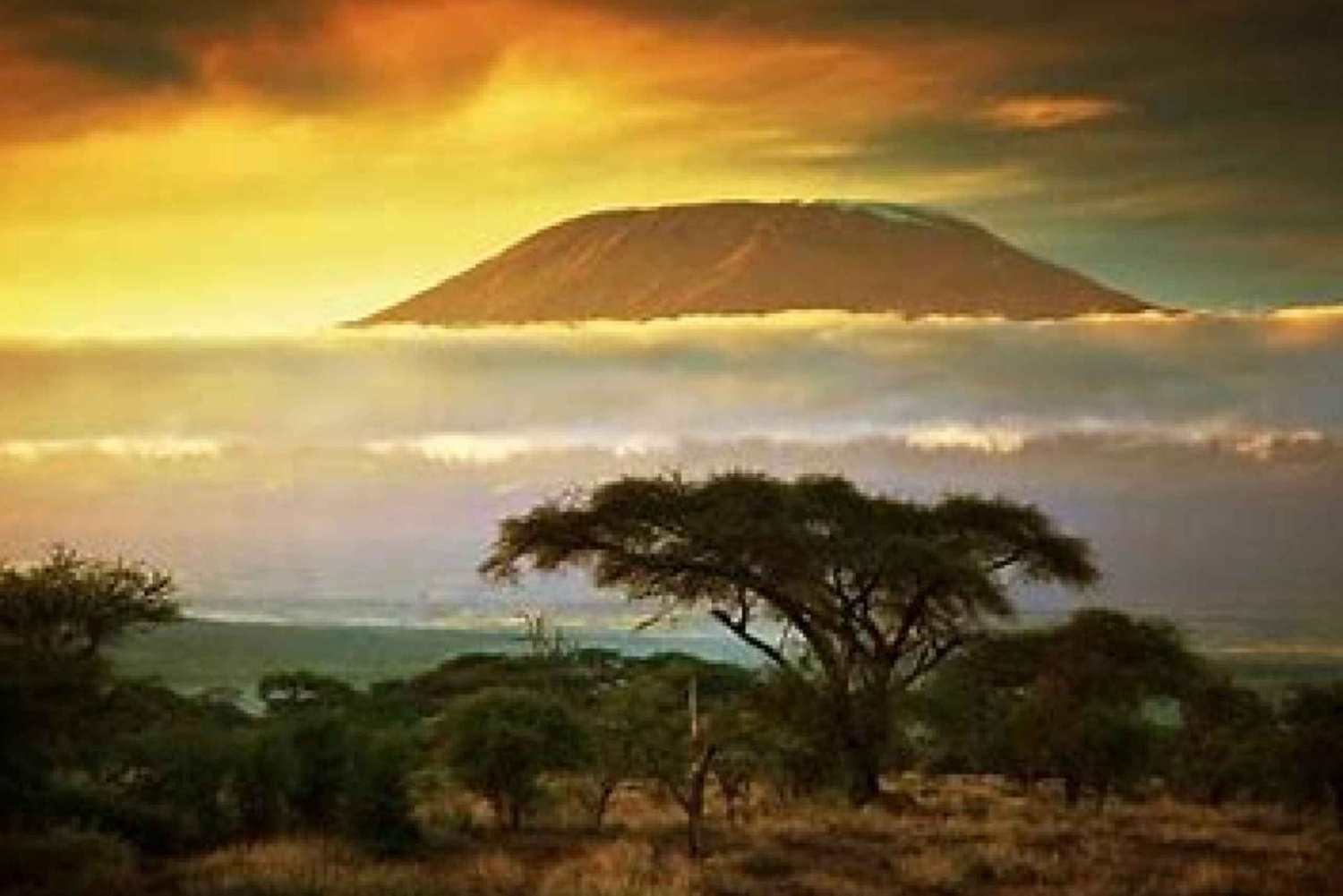 Nairobi: safari di 3 giorni al Parco Nazionale di Amboseli con voli